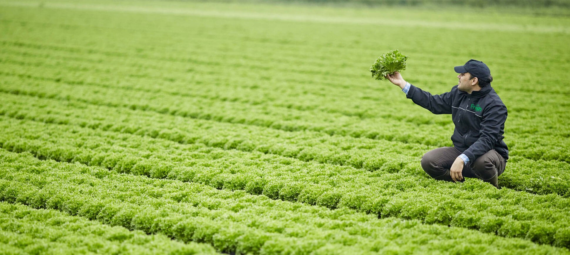 Home Agrial Fresh Produce